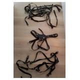 N1 - STRAPS & BELTS (R117)