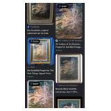 J4 - FRAMED LANDSCAPE ART PRINT DECOR