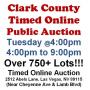 Tues.@4pm - Special Cinco De Mayo Online Public Auction 5/5