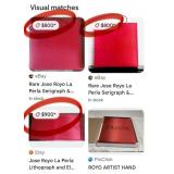 SW - ROYO PASION ART BOOK  (SW29)