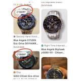 502 - CITIZEN BLUE ANGELS WATCH (L3)