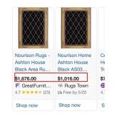 J5 - ELEGANT BLACK BORDER AREA RUG