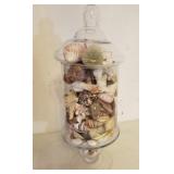 J2 - GLASS JAR WITH SEASHELL COLLECTION (L131)