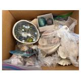 J2 - COLLECTIBLE SHELLS, MARBLES & MORE (G109)