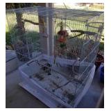 J2 - BIRD CAGE (Y6)