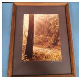 11 - FRAMED ART 15X12' (L84)