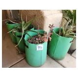 S1 - FOUR OUTDOOR PLANT BINS (Y5)