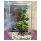 L1 - AQUARIUM SET (A31)