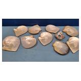 11 - COLLECTION OF SHELLS (N74)