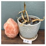 J4 - HIMALAYAN SALT LAMP PLANTER (O14)