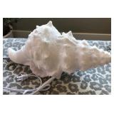 J4 - DECORATIVE LIGHTED SEASHELL LAMP (M39)