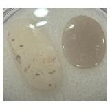 3.15CT OPAL GEMSTONES