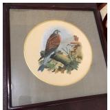 S2 - AMERICAN KESTREL FALCON ART FRAMED 16'SQ (L33