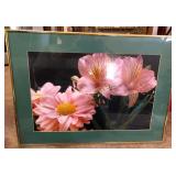 S1 - FLORAL PHOTOGRAPHIC ART FRAMED 22X16' (L112)
