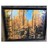 S1 - PHOTOGRAPHIC ART FRAMED 15X17' (L116)