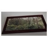 S1 - JUNGLE LANDSCAPE FRAMED ART (E36)