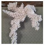 11 - LARGE CORAL REPLICA DECOR (P121)
