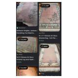 N4 - AREA RUG 72X48' (N3)