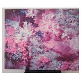 503 - UNDERWATER ARTWORK 40X50