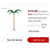 R - LIGHTED PALM TREE 60X82" (C16)