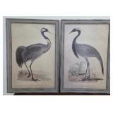 P - TWO PIECES FRAMED ART 33X23"EA (H9)