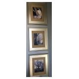 P - THREE PIECES FRAMED ART (E2)