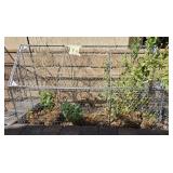 U - WIRE MESH PLANT PROTECTION (Y11)