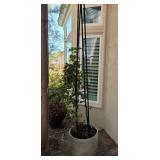 U - OUTDOOR PLANTER POT WITH PLANT (Y36)