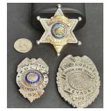 LOT OF 3 BADGES