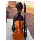 ANTIQUE CELLO VELVET LINED CASE