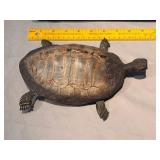 ANTIQUE STERLING ENCASED TURTLE TAXIDERMY