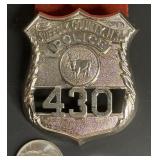 RARE COUNTY NY POLICE BADGE