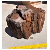 LARGE PETRIFIED WOOD PIECE