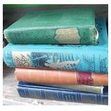 11 - LOT OF HARDBOUND BOOKS (C132)