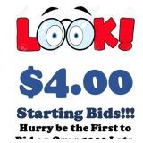 LOOK!!! $4.00 STARTING BIDS - BE THE FIRST TO BID!