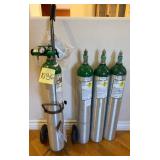 503 - PORTABLE OXYGEN CYLINDERS (N36)