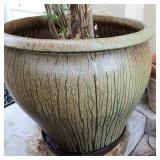 J3 - LARGE PLANTER WITH PLANT