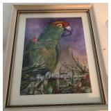 N1 - FRAMED PARROT WATERCOLOR PAINTING (M131)