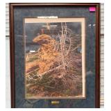 11 - "PRAYER FOR WILD THINGS" DOOLITTLE ARTWORK