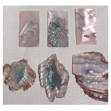 513 - LOT OF ABALONE SHELL PIECES (M169)