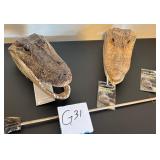 S1 - TAXIDERMY ALLIGATOR HEADS & CLAW (G31)