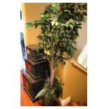 S2 - 6FT FAUX FICUS TREE W/ POT & 3 TRUNKS (M39)
