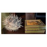 S2 - DRIED PUFFERFISH & PAINTED BAMBOO BOX (E59)