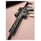F - SIG SAUER MULTI-CALIBER SEMI-AUTO (#39)