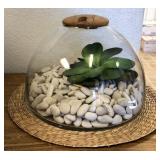 11 - TERRARIUM W/ FAUX SUCCULENT (33)