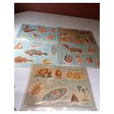 Scientfic Plastic Series, Zoology 1-4 Plus 9 (3-D