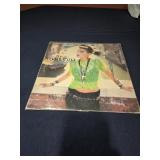 Madonna Like a Virgin Remix Record Album