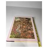 Peter Pan Illustrated