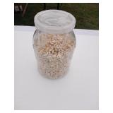 Jar of Shells