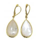 14kt Gold Natural Mother Of Pearl Earrings
